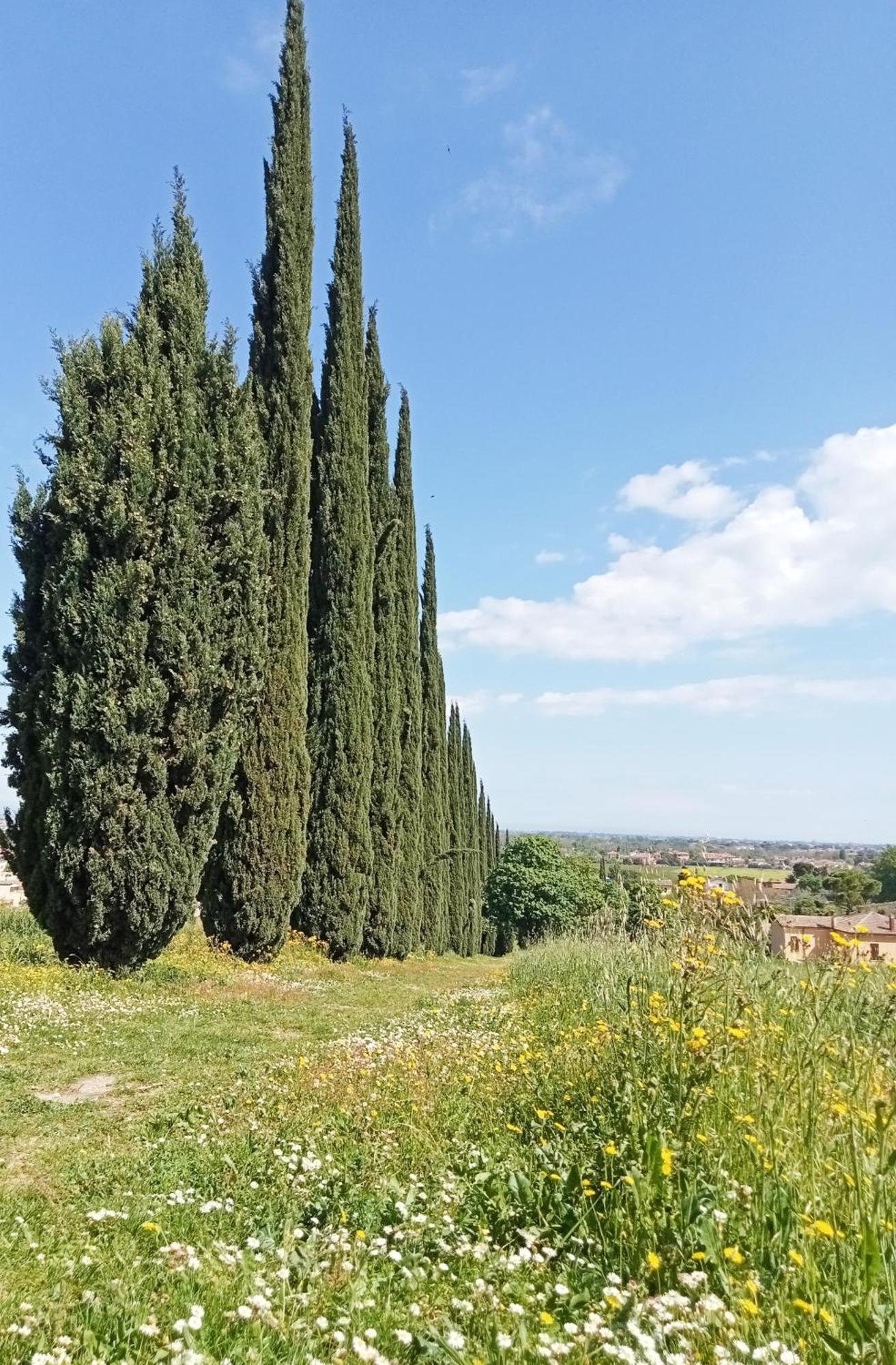 Ferienwohnung Casalice SantʼArcangelo di Romagna Exterior foto